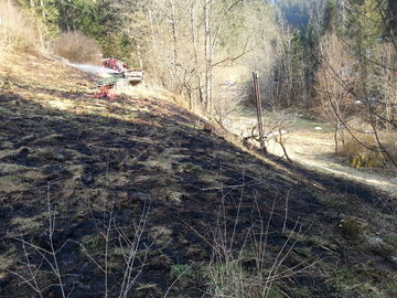 Wiesenbrand in Pacher
