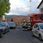 2017-05-20_gesamtuebung-mit-ff-wenigzell_005