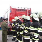 BDLP in Bronze und Gold am 19.05.2018