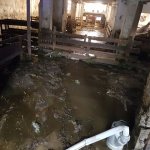 Unwettereinsätze am 01.06.2018