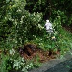 2018-06-01_unwettereinsaetze_012