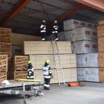 2018-09-15_abschnittsuebung-saegewerk-posch_046