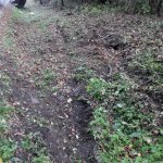 2018-10-16_vu-bruendlweg_005