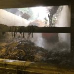Hackschnitzellagerbrand Wenigzell 04.09.2018