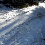 2019-02-09_pkw-bergung_naehe-toter-mann_002