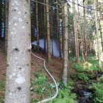 2019-06-07_monatliche-gesamtuebung_006