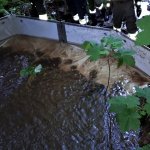 2019-06-07_monatliche-gesamtuebung_007