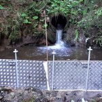2019-06-07_monatliche-gesamtuebung_008