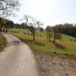 2019-10-26_fw-wandertag_012