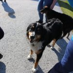 2019-10-26_fw-wandertag_039