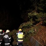 Baumbergung B72 am 28.12.2019