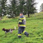 2020-09-07_suchaktion-ratten-stjakob_006
