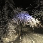 2020-12-10_schneeeinstze_003
