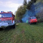 teichreinigung_2021-10-18_015