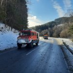 Bäume über Straße am 12.12.2021