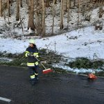 2021-12-12_baumbergungen_003