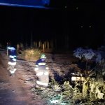 Sturmeinsätze 30.01.2022
