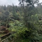 2022-08-18_unwettereinsatz-sturm_003