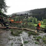 2022-08-18_unwettereinsatz-sturm_006