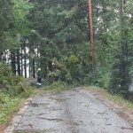 2022-08-18_unwettereinsatz-sturm_008