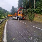2022-08-18_unwettereinsatz-sturm_012