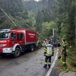 2022-08-18_unwettereinsatz-sturm_014