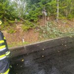 2022-08-18_unwettereinsatz-sturm_018