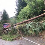 2022-08-18_unwettereinsatz-sturm_019