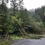 2022-08-18_unwettereinsatz-sturm_020