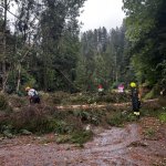 2022-08-18_unwettereinsatz-sturm_027