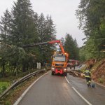 2022-08-18_unwettereinsatz-sturm_032