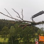 2022-08-18_unwettereinsatz-sturm_033