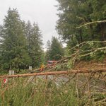 2022-08-18_unwettereinsatz-sturm_035