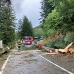 2022-08-18_unwettereinsatz-sturm_036