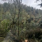 2022-08-18_unwettereinsatz-sturm_038