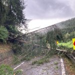 2022-08-18_unwettereinsatz-sturm_039