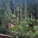 2022-08-18_unwettereinsatz-sturm_042