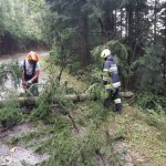 2022-08-18_unwettereinsatz-sturm_043