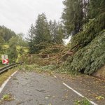 2022-08-18_unwettereinsatz-sturm_047
