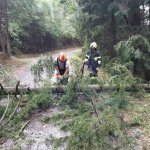 2022-08-18_unwettereinsatz-sturm_048