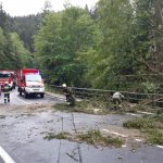 2022-08-18_unwettereinsatz-sturm_055