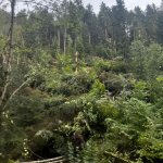 2022-08-18_unwettereinsatz-sturm_057