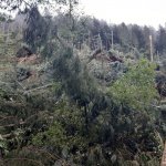 2022-08-18_unwettereinsatz-sturm_058