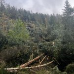 2022-08-18_unwettereinsatz-sturm_060