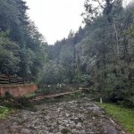 2022-08-18_unwettereinsatz-sturm_061