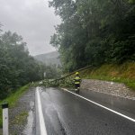 Baum über Straße am 05.08.2023