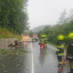 2023-08-05_baumbergung_006