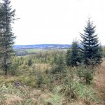 2023-10-26_wandertag_014