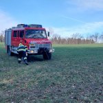 2024-03-22_forstanhaenger-bergung_004