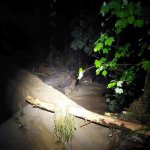 2024-06-08_unwettereinsatz_013